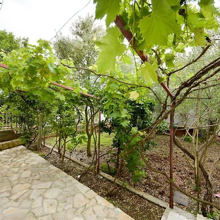 זאדאר Apartment Lilly מראה חיצוני תמונה